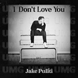 I Don't Love You - Jake Puliti