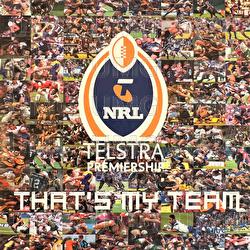 That's My Team - Hoodoo Gurus