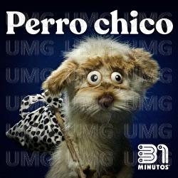 Perro Chico - 31 Minutos, Johnny Choapino