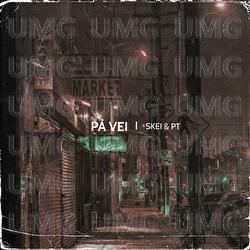 P&aring; vei - Skei & PT