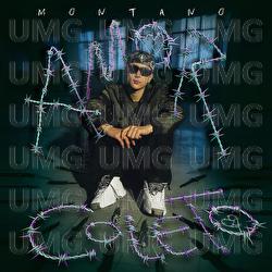Amor Coleto - Montano