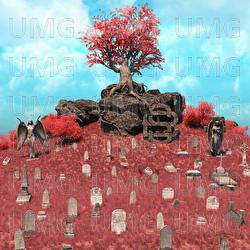Cimitir - Satra B.E.N.Z., Macanache