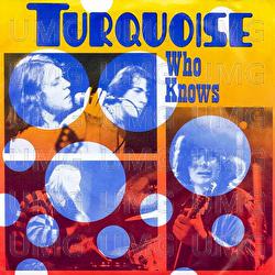 Who Knows - Turquoise