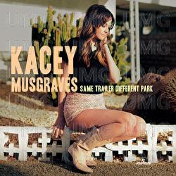 Follow Your Arrow - Kacey Musgraves
