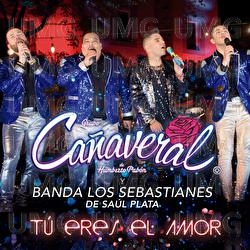 Tú Eres El Amor - Grupo Cañaveral De Humberto Pabón, Banda Los Sebastianes De Saúl Plata