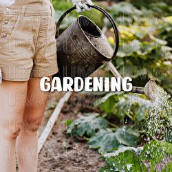 Gardening - Luc Huy