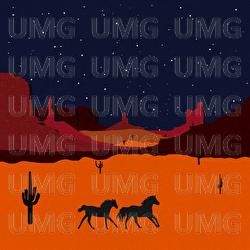 Wild Horses - L'aupaire