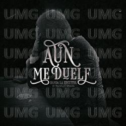 A&uacute;n Me Duele - Banda La Ejecutiva De Mazatl&aacute;n Sinaloa