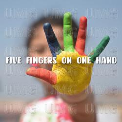 Five Fingers On One Hand - Luc Huy