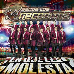 &iquest;En Qu&eacute; Les Molesta? - Banda Los Recoditos