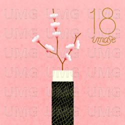 18 - imase