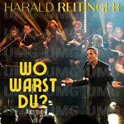 Wo warst du - Harald Reitinger