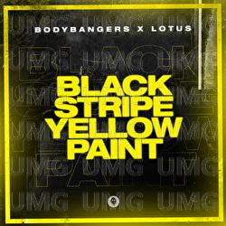 Black Stripe Yellow Paint