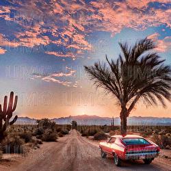 T&eacute;co - Keys Bandit, Yardenn