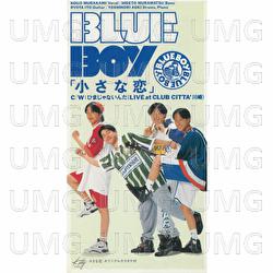 Chiisana Koi - Blue Boy