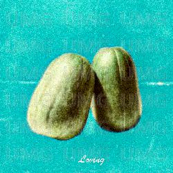 Loving - Meiyo Densetsu