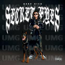 Jednou nohou tam / Go hard - Hard Rico