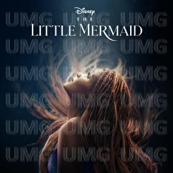 Part of Your World - Halle
