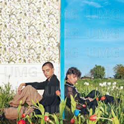 Tulipani Blu - Matteo Romano, Luigi Strangis