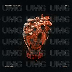 Srdce Na Tvy Dlani - Adam Mi&scaron;&iacute;k