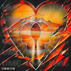 It's Not Me It's You - Picard Brothers