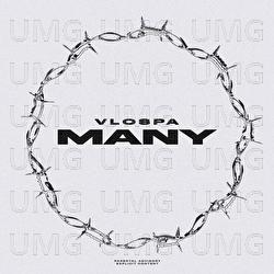 MANY - VLOSPA, Solid