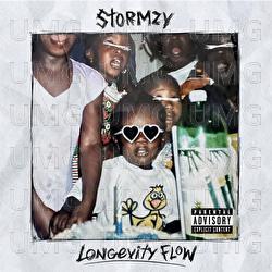 Longevity Flow - Stormzy