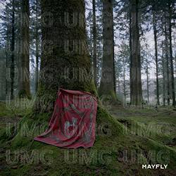 Mayfly - Mantaraybryn