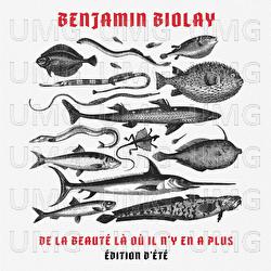 De la beauté là où il n'y en a plus - Benjamin Biolay