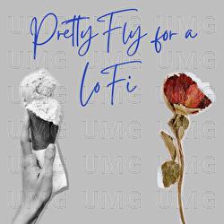 What do you call an elephant that doesn't matter? Irrelephant - Pretty Fly for a LoFi