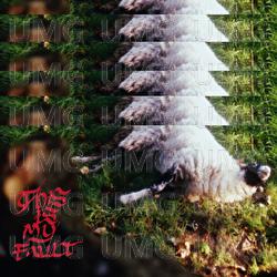 This Is My Fault - Green Gardens