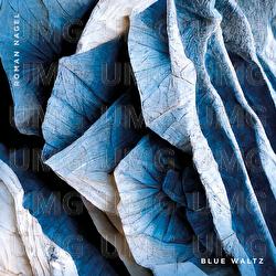 Blue Waltz - Roman Nagel