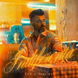 Indiferența - Liviu Teodorescu