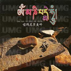 Weng Ma Ni Bei Mei - Wang Jun