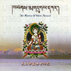 Da Bai San Gai Fo Mu Xin Zhou - Wang Jun