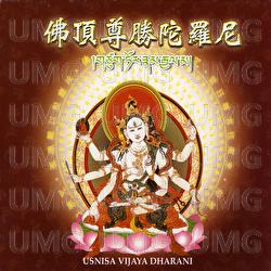 Fo Ding Zun Sheng Tuo Luo Ni - Wang Jun