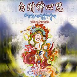 Bai Cai Shen Xin Zhou - Wang Jun