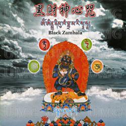 Hei Cai Shen Xin Zhou - Wang Jun