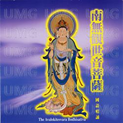 Nan Mo Guan Yin Shi Yin Pu Shu Long Ta - Pu Yin Fan Bai Group
