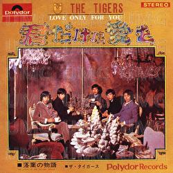 Love Only For You - The Tigers