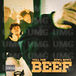 BEEF - Trill Pem, SHD&Oslash;W, Hubi