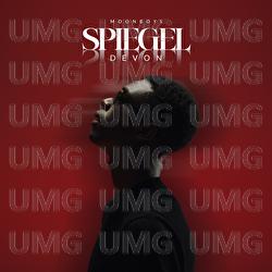 Spiegel - Devon