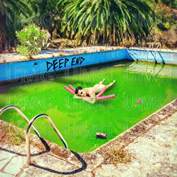 Deep End - People R Ugly