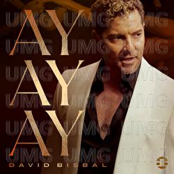 Ay, Ay, Ay - David Bisbal