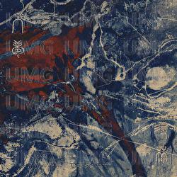 Ru Meng Xun Lin - THE SHINING