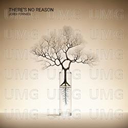 There&rsquo;s No Reason - Jordi Forni&eacute;s