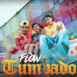 Flow Tumbado - Picus