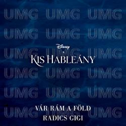 V&aacute;r r&aacute;m a f&ouml;ld - Radics Gigi