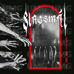 Slagsm&aring;l - Linni