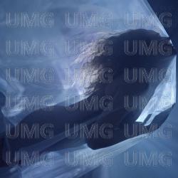 Inimă albastră - Dl Goe, Paulina